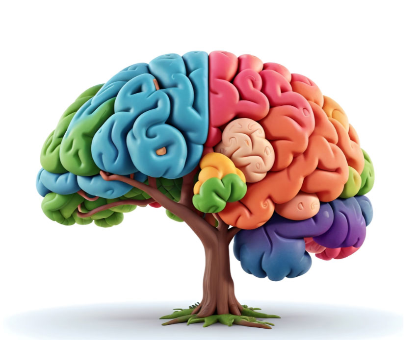 Juego de inteligencia 7 pistas 1 respuesta para niños y adultos